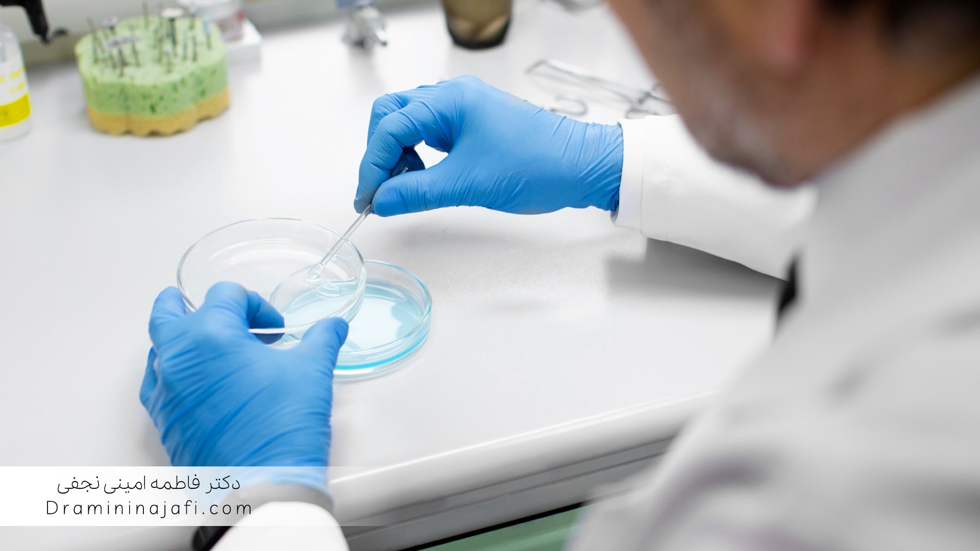 برآورد عدم قطعیت در ممیزی و استقرار سیستم مدیریت کیفیت ISO