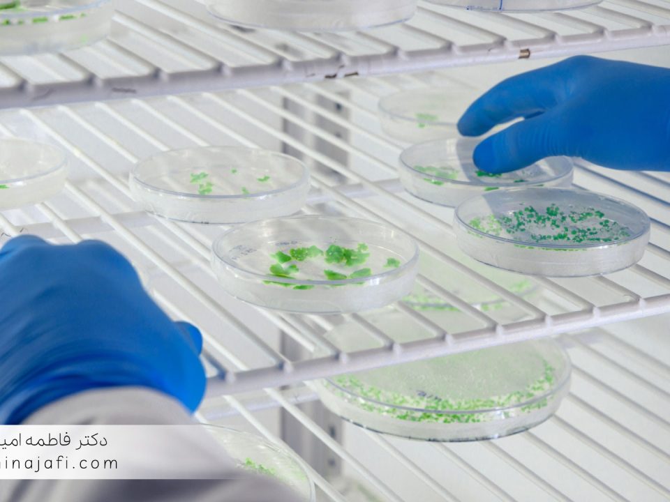 برآورد عدم قطعیت در کشت میکروبی و شمارش کلونی‌ها
