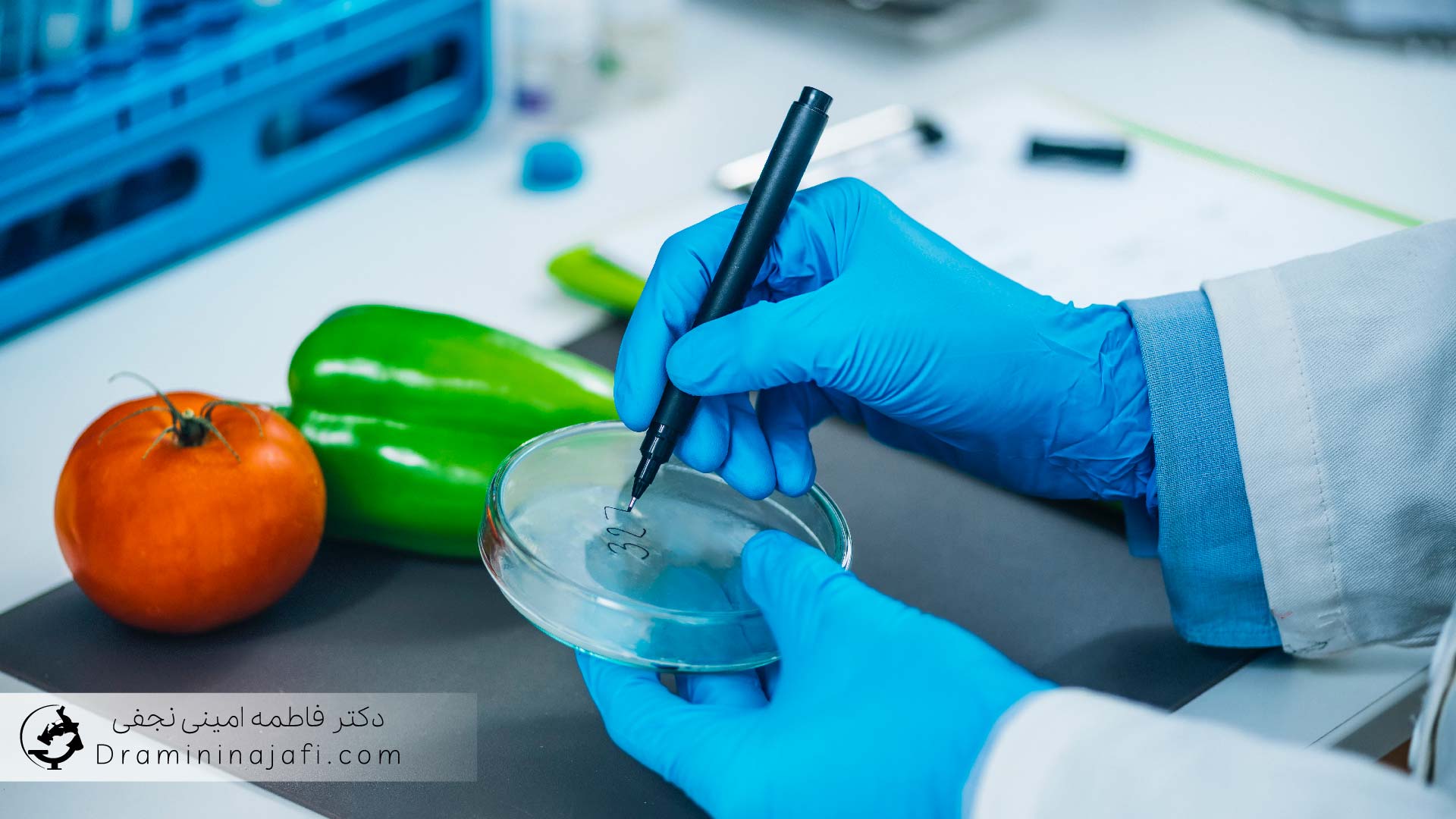 گواهی ISO و کشت میکروبی و شمارش کلونی در آزمایش مواد غذایی