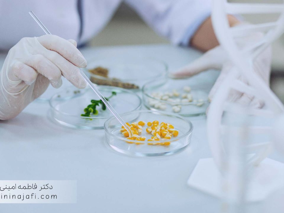 نقشه راه اخذ گواهی ISO و راه‌اندازی کلین‌روم دارویی با اعتبارسنجی