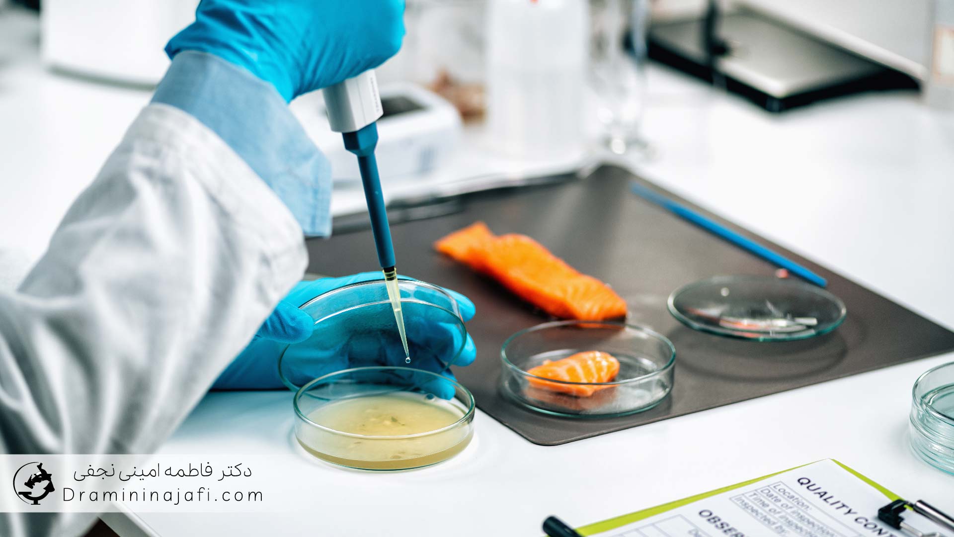 مراحل ممیزی و استقرار سیستم مدیریت کیفیت و ISO در آزمایشگاه‌ها