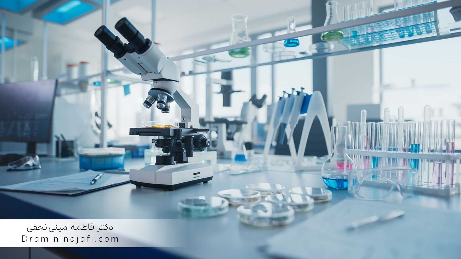 برنامه آموزش و ارزیابی شایستگی کشت میکروبی و شمارش کلونی در آزمایشگاه